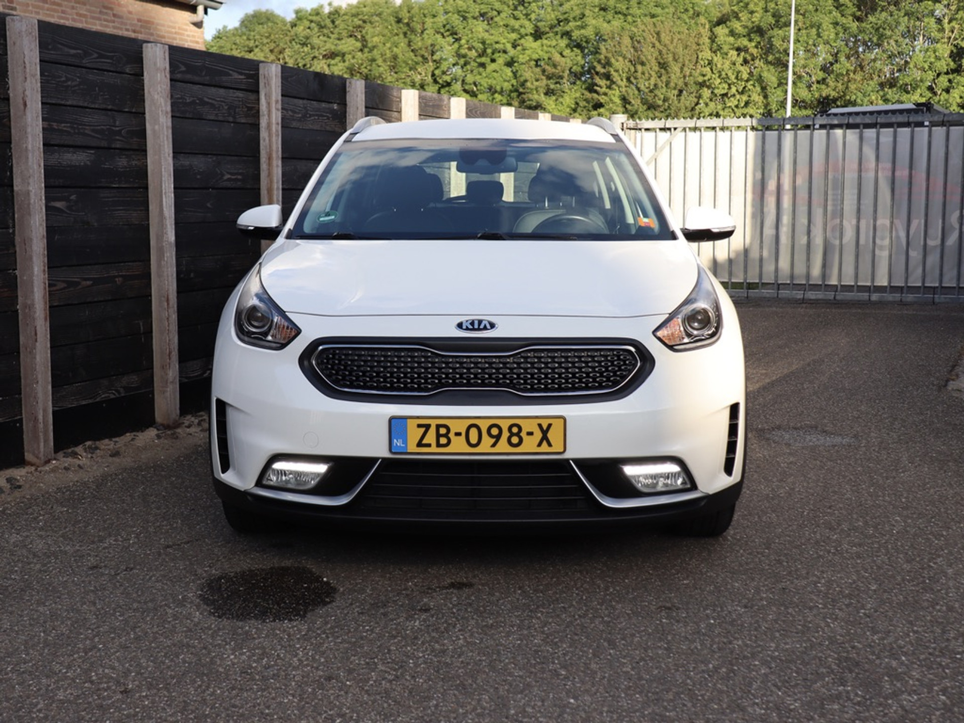 52196580-2.jpg
