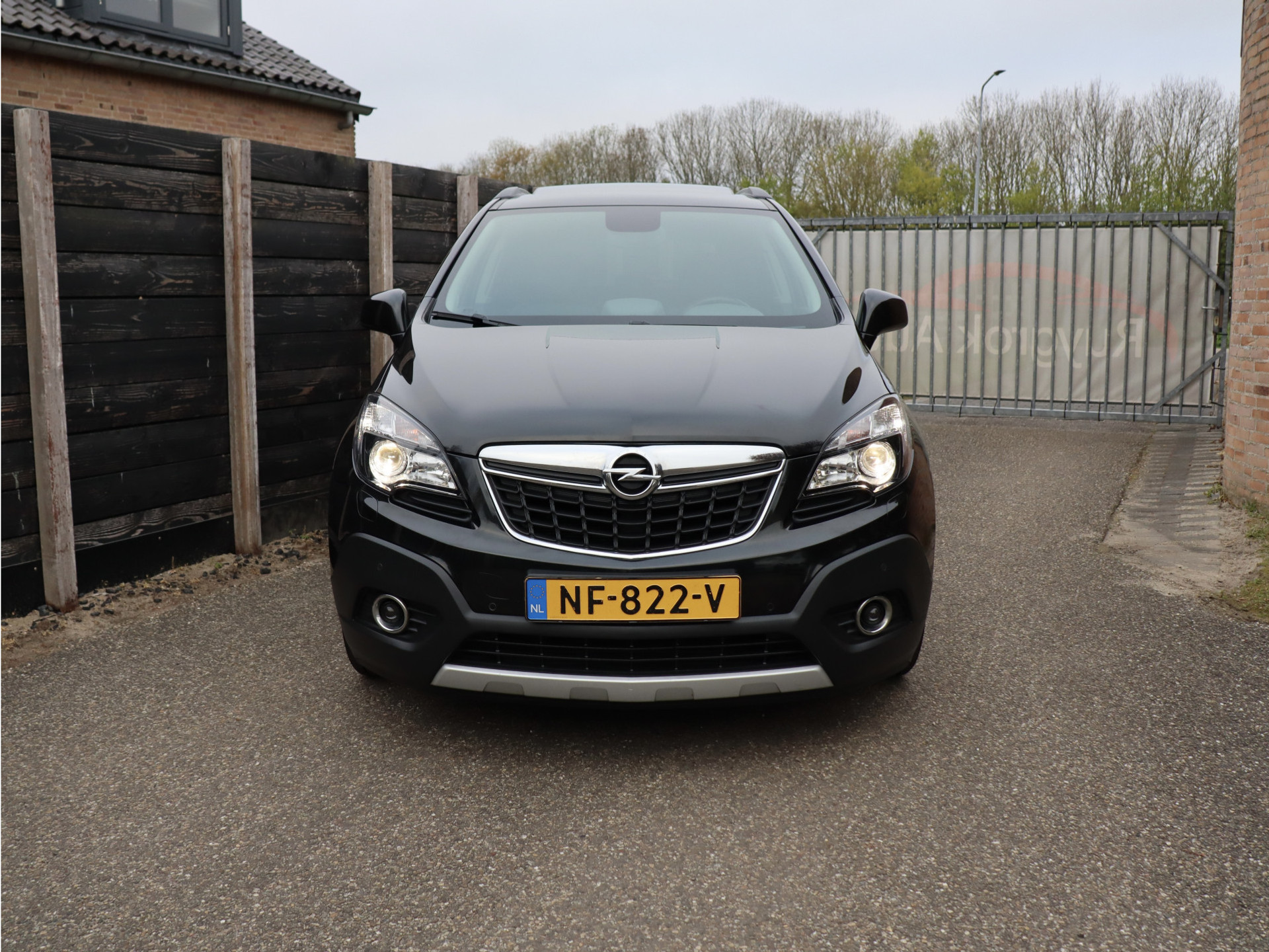 52605495-1.jpg